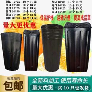 韭黄种植黑罩子家用隔光用套筒韭菜遮光筒塑料罩防晒农业圆柱盖子