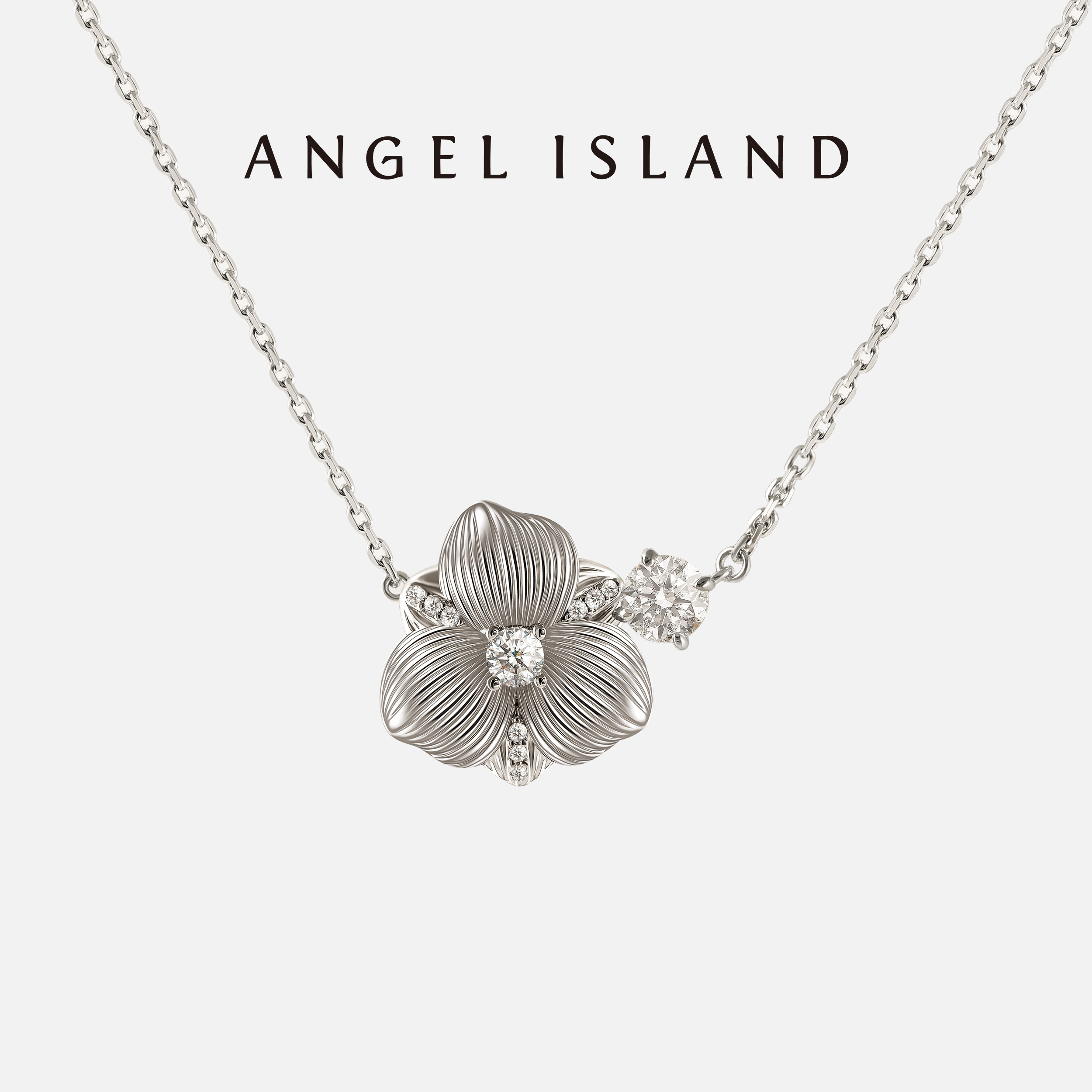 明星郭碧婷同款「芳华」ANGEL ISLAND天使岛木槿白金项链女锁骨链