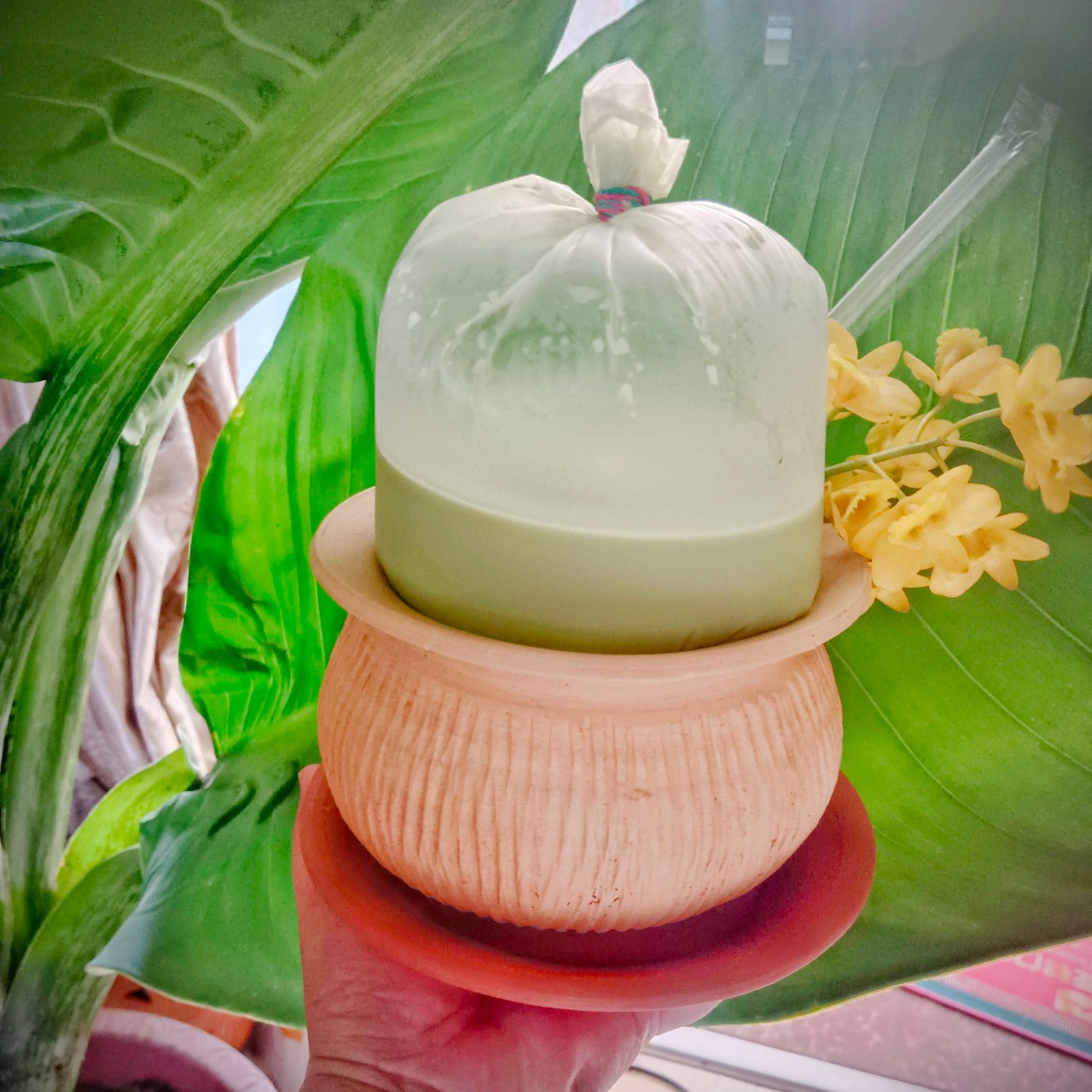 西双版纳非遗傣陶调料罐老挝咖啡泰式奶茶罐罐米线东南亚订制餐具