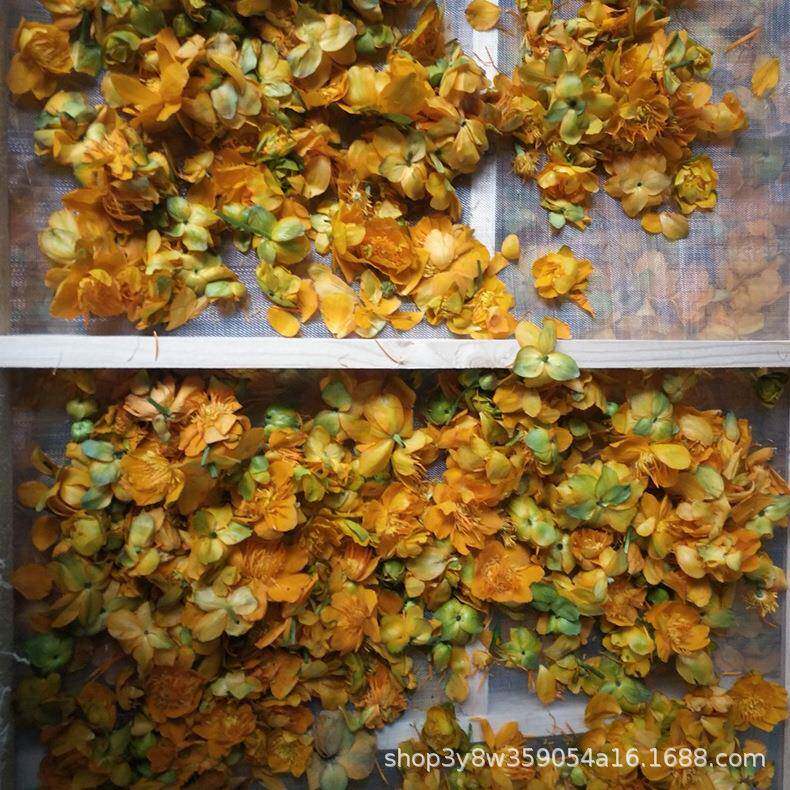 食品烘干机干燥设备金莲花烘干设备菊花箱式干燥设备茶叶烘干机