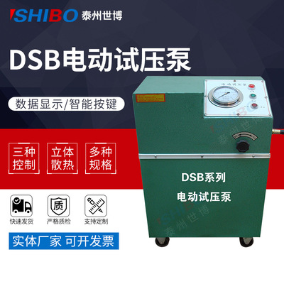 世博厂家供应电动试压泵 DSB-16电动试压泵 厂家 现货