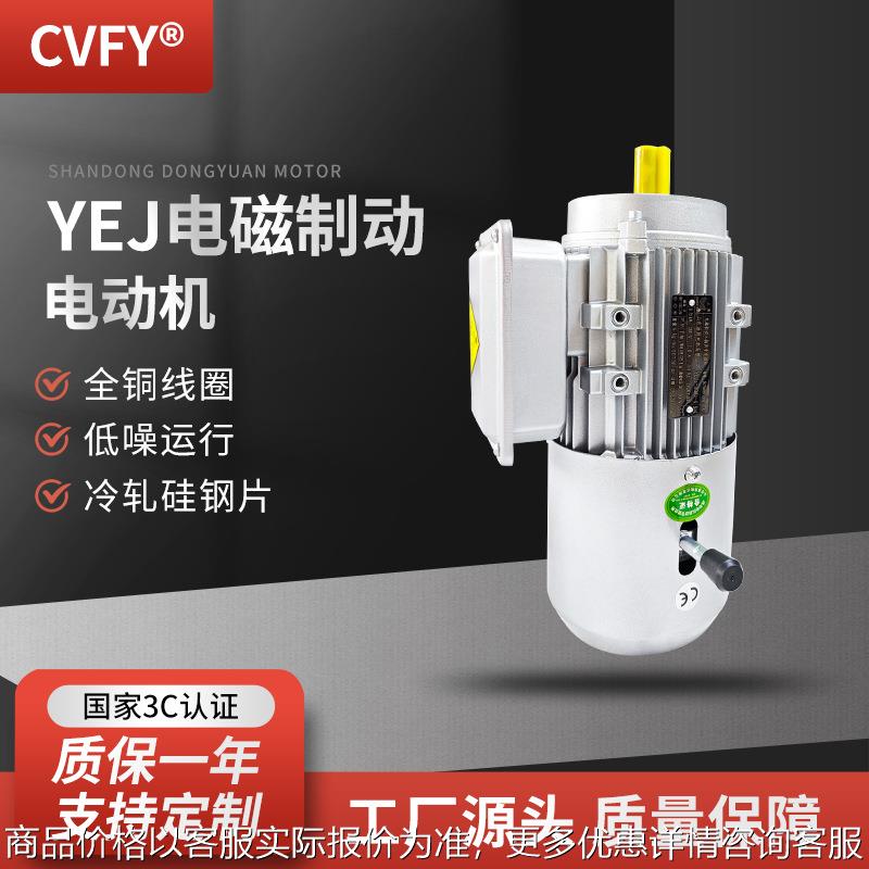 YEJ电磁制动电机 100L1/L2-8极 0.75W/1.1千瓦 刹车三相电动机