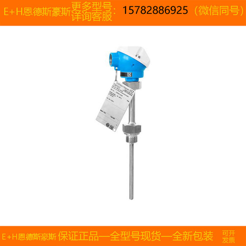 现货 E+H/恩德斯豪斯 TM101-3AF0/115=TM101-AACCB3GA2C1A1 L=300