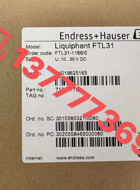 E+H 恩德斯豪斯 FTL31-11860 包议价