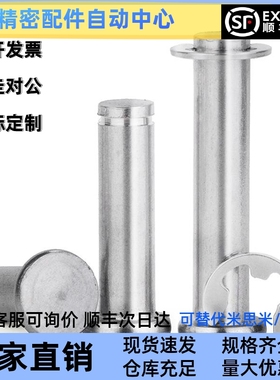 替换米思米PHCCG SHCDG SHCCG SHCCGH3 4 5 6 8 10 HCCGH20铰链销