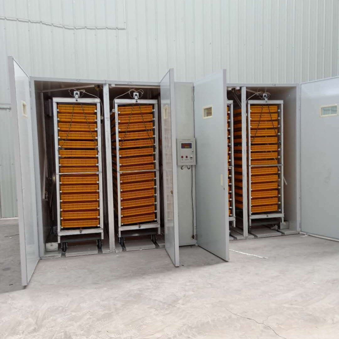 全自动大型家禽8448孵化机火鸡孵化机狮头鹅蛋孵化器孵化设备鸡鸭,机械设备,干燥机/干燥箱/烘干机,淘宝优惠券,粉丝福利购,淘宝优惠卷