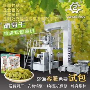 拉链袋装新疆特产葡萄干包装机 黑加仑提子干桑葚干给袋式包装机