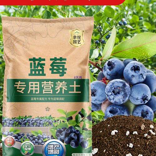 种蓝莓土营养土蓝莓树盆栽土果树土壤种植土有机土料植物其它