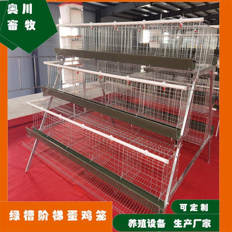 养殖厂鸡A型三层四层笼阶梯绿槽白槽蛋鸡笼