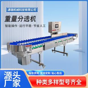 商用海参鲍鱼重量分选机鲳鱼鲅鱼自动称重分级分选机鱼类分选机