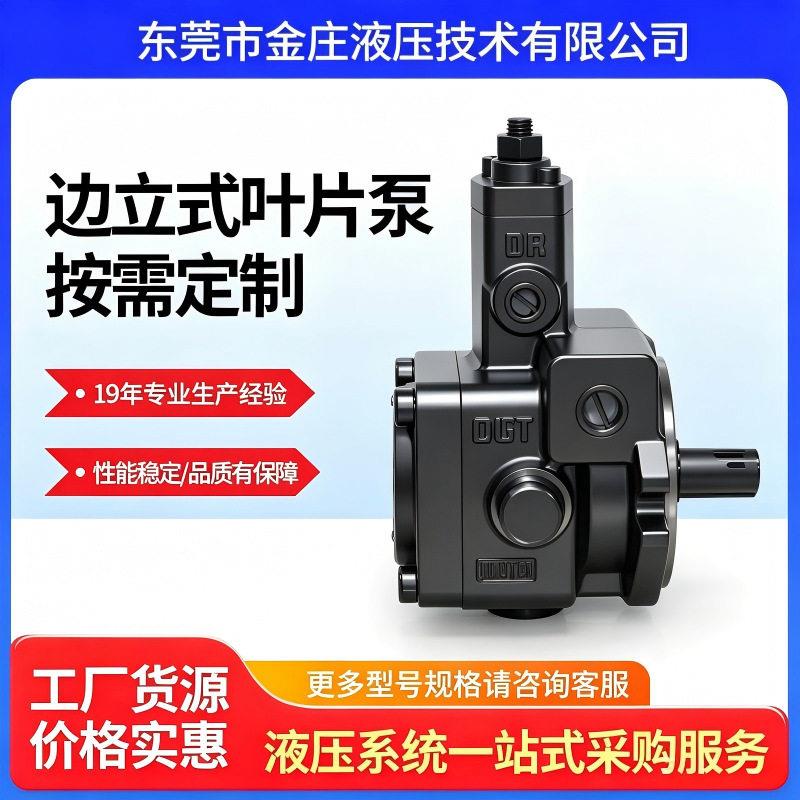 厂家供应液压系统注塑机液压配件叶片泵VP-20低噪音变量压油泵