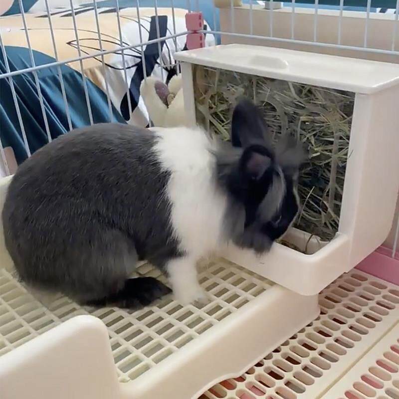 拉士格带盖兔兔草架亚克力防浪费草盒 龙猫宠物食盆防扒设计