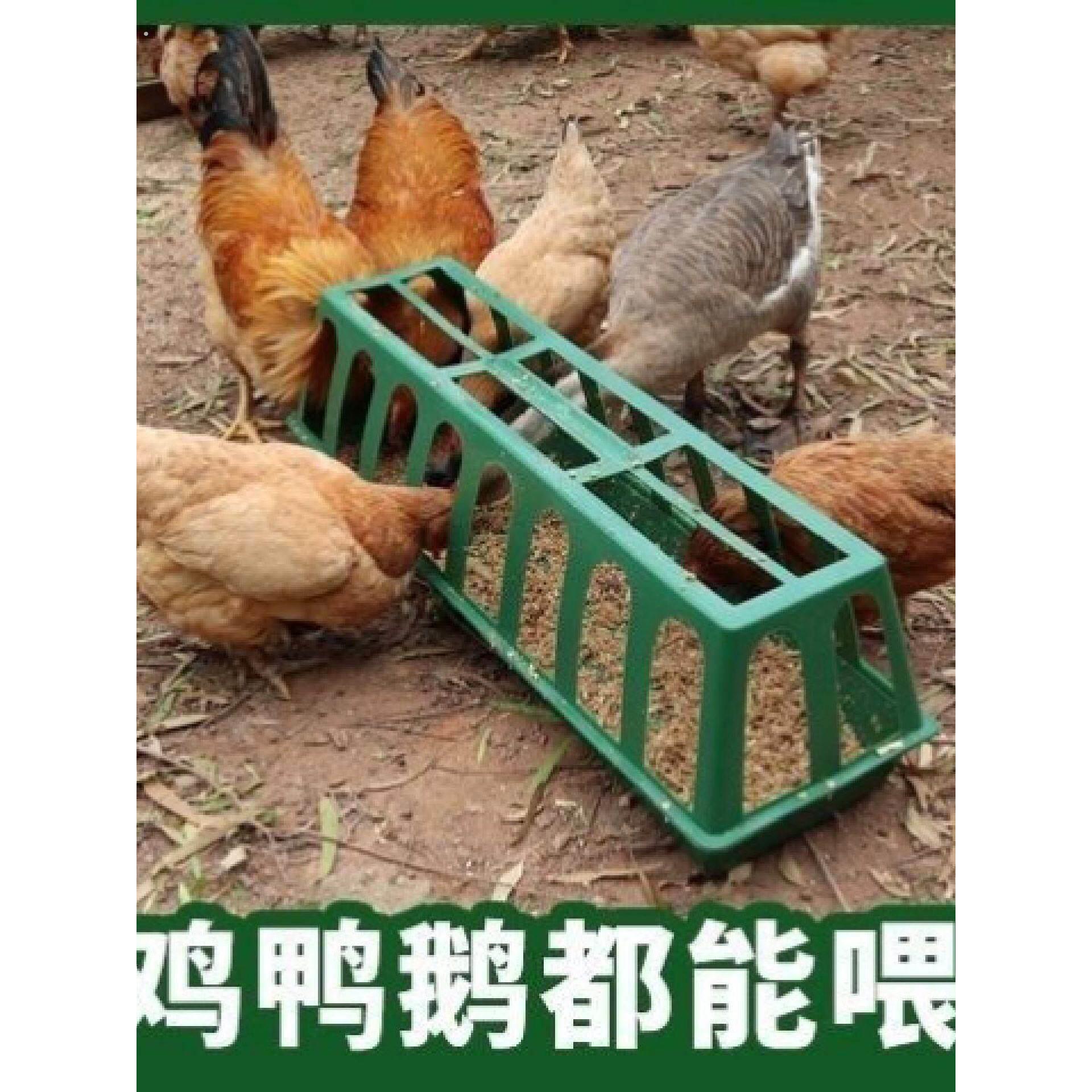 家用喂鸡食槽料槽防撒养设备鸭鹅喂鸡神器饲料桶自动喂食鸡饲料盆