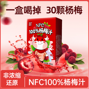 非浓缩还原nfc杨梅汁200ml*12盒/箱