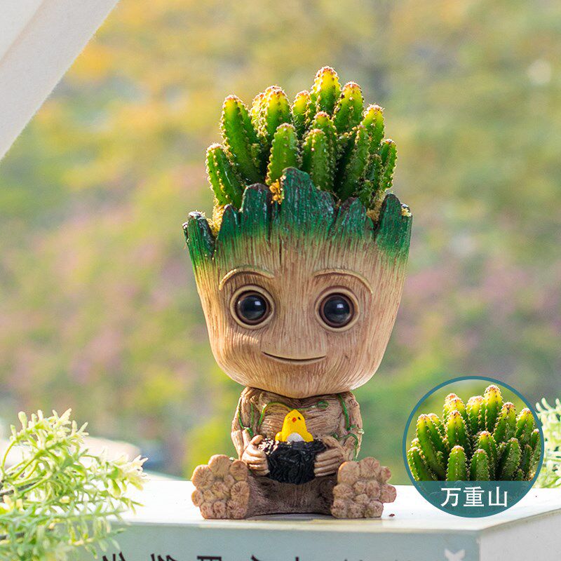 多肉植物仙人掌小盆栽格鲁特仙人球办公室内桌面摆件懒人好养绿植