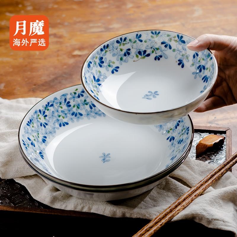 美浓烧进口家用新款菜碟子菜盘子釉下彩小蓝芽米饭碗日式陶瓷餐盘