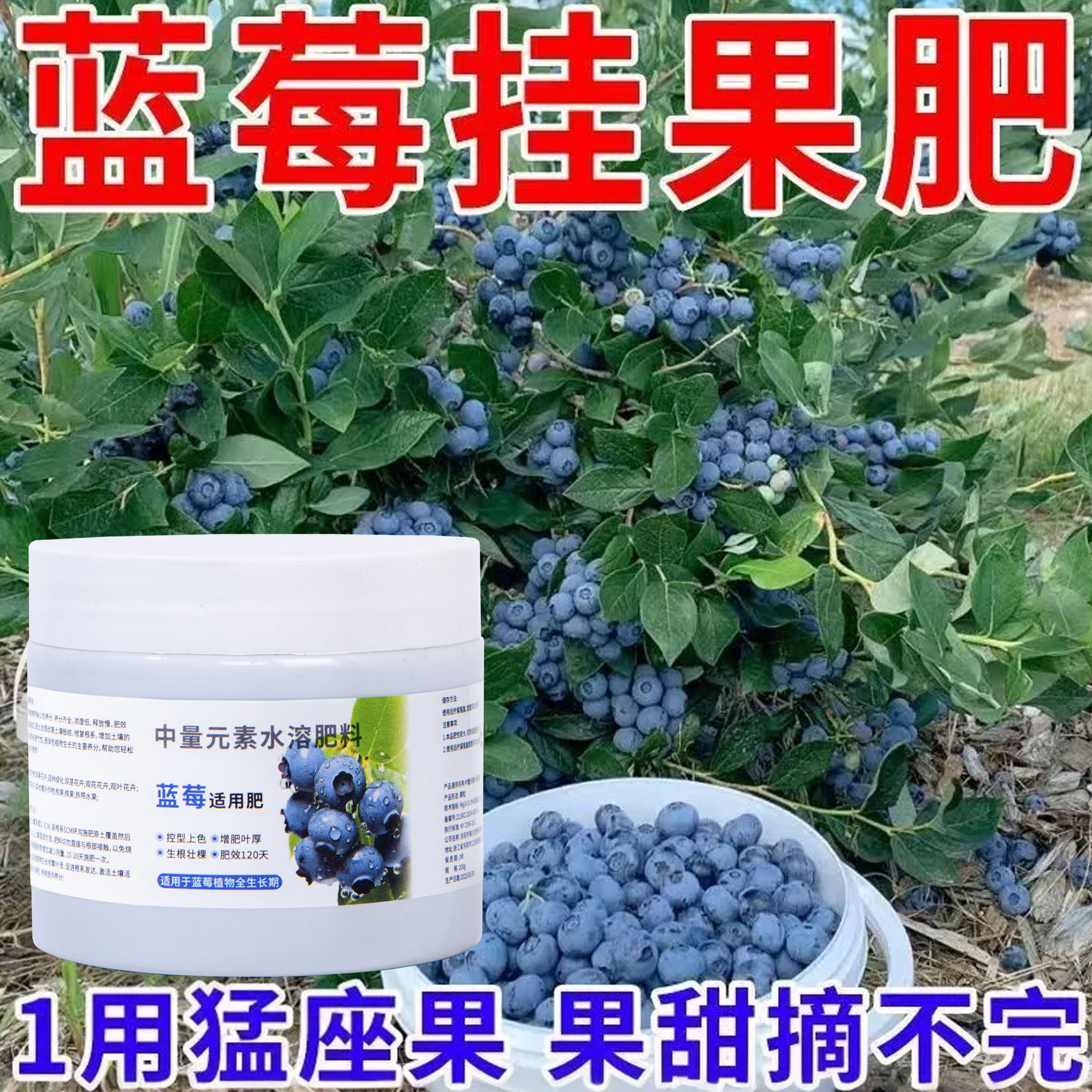 蓝莓专用肥缓释肥家用果树