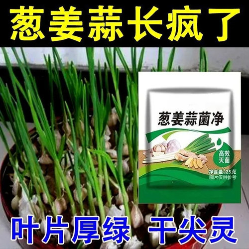 正品葱姜蒜菌净叶面肥干尖黄叶农用菌剂种菜增产大葱专用剂枯萎