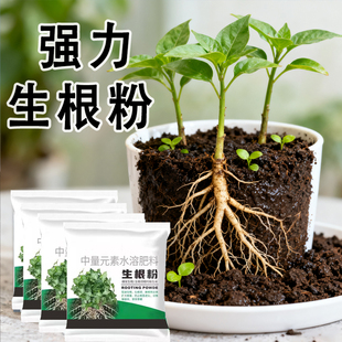 强力生根粉植物通用型正品快速发根扦插移栽植物多肉生根养花专用