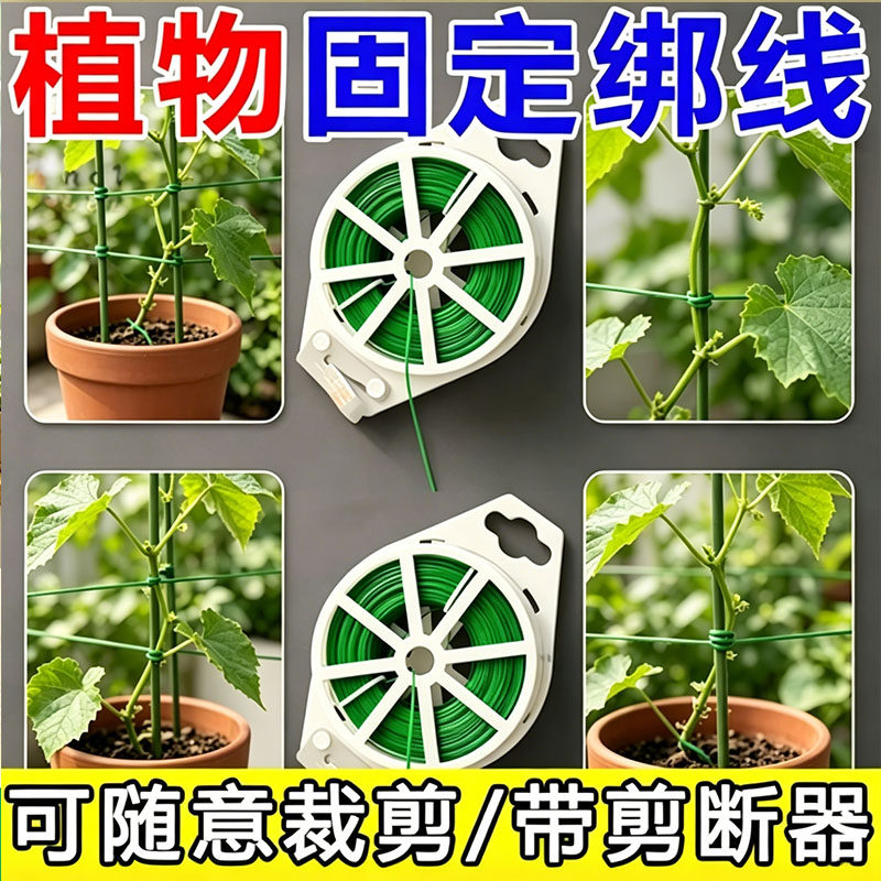 园艺月季爬藤铁丝扎线架