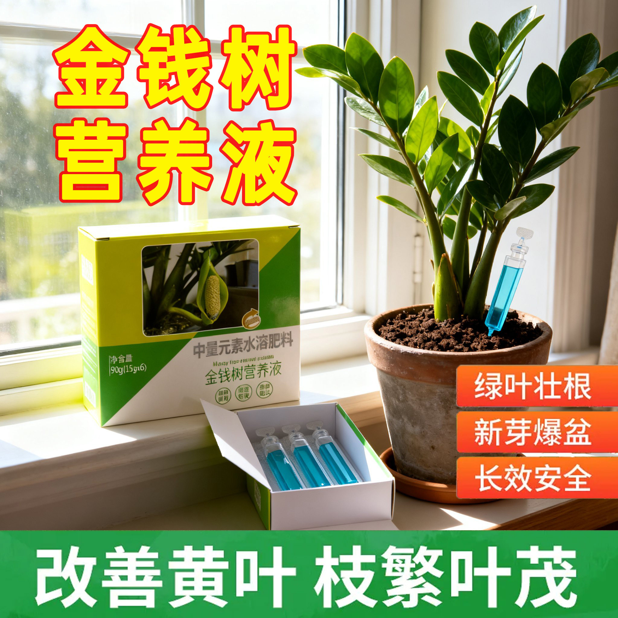 金钱树专用营养液叶子发黄叶