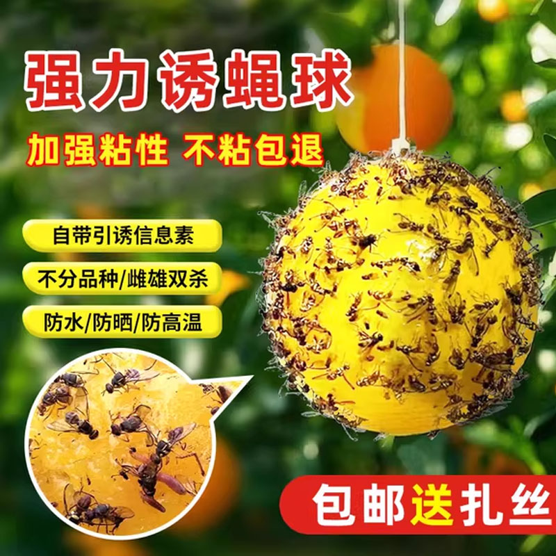 果实蝇球粘虫球诱蝇球果蝇瓜果