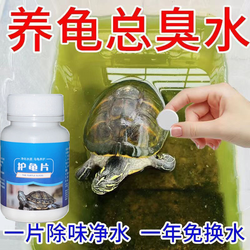 护龟片乌龟净水片专治腐皮烂甲