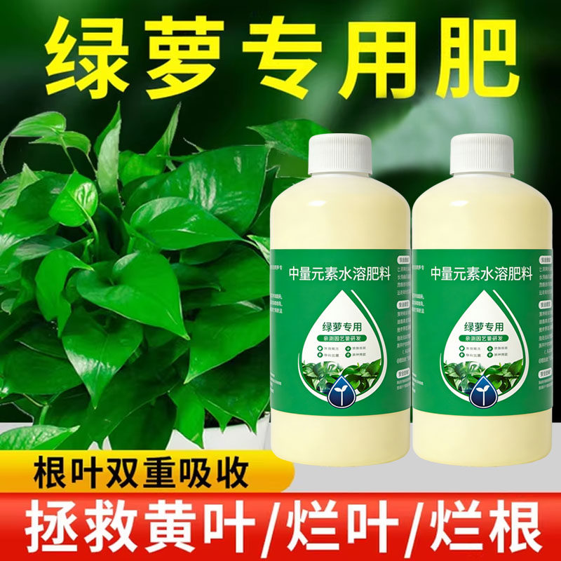 绿萝营养液肥料专用肥室内盆栽