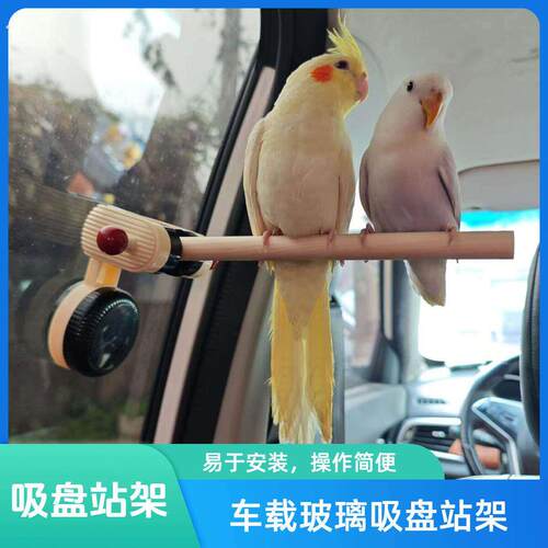 车载玻璃吸盘站架浴室站杆镜面站架中小型鹦鹉站架