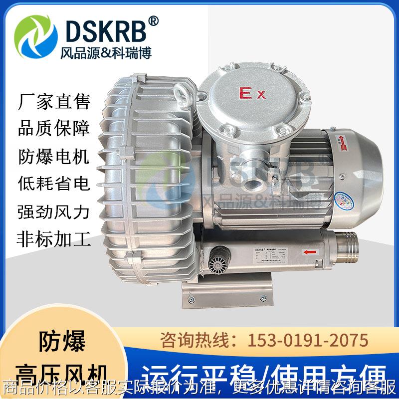 零售 废气高速抽吸防爆漩涡气泵 耐高温防腐高压风机风泵厂家