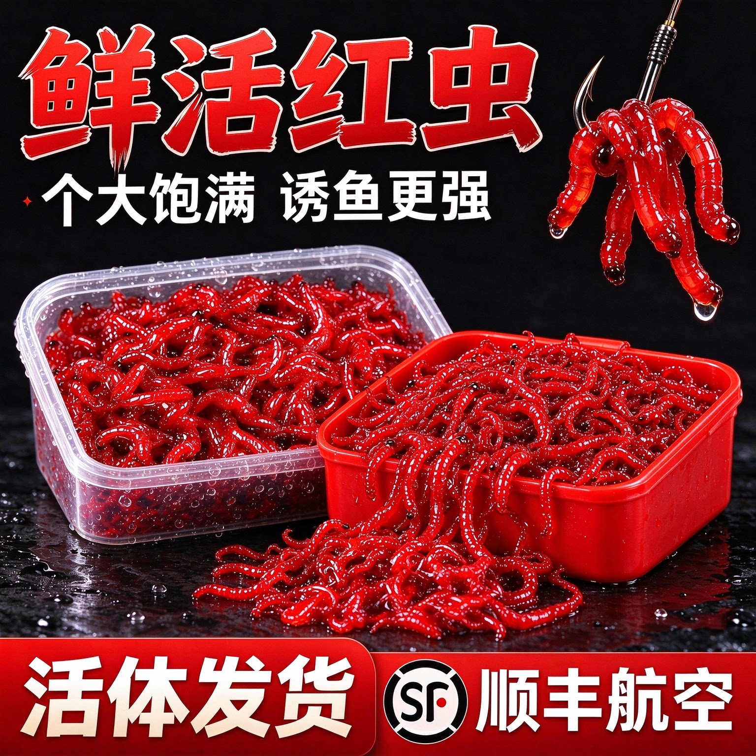 鲜活特大红虫公虫活饵鲫鱼野钓
