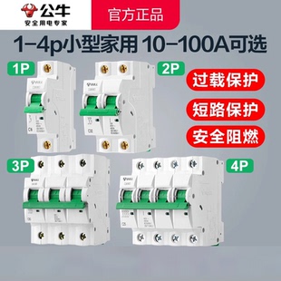 公牛空气开关保护1p空开2p三相3电闸4家用63a总闸32a空开关断路器