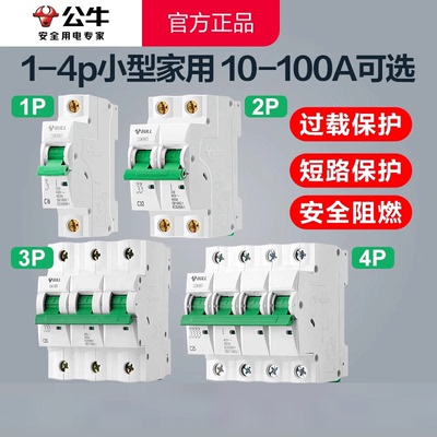 公牛空气开关保护1p空开2p三相3电闸4家用63a总闸32a空开关断路器