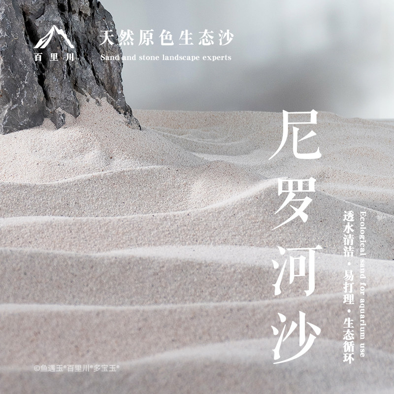 尼罗河沙化妆沙鱼缸造景天然净水底砂雨林沙草缸南美专用细沙河沙