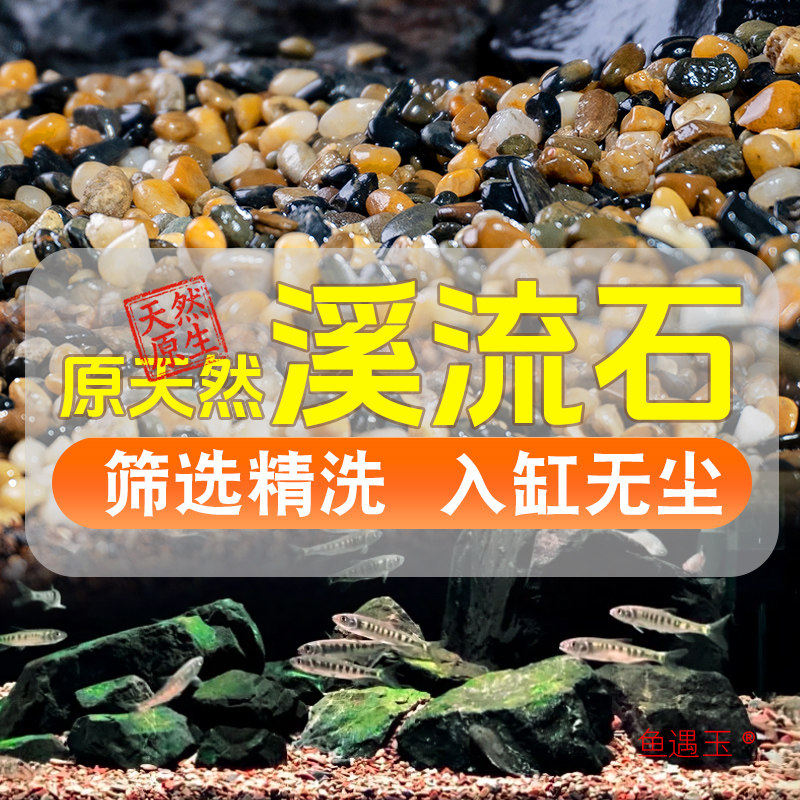 原生净水溪流石鱼缸造景底砂溪流造景/装饰