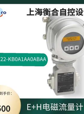 现货 EH Endress Hauser Proline Promag 50H22卫生型食品行业PFA