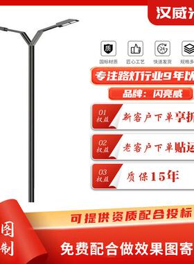 厂家LED市电路灯6米8米市政道路双臂路灯城市公路道路照明灯