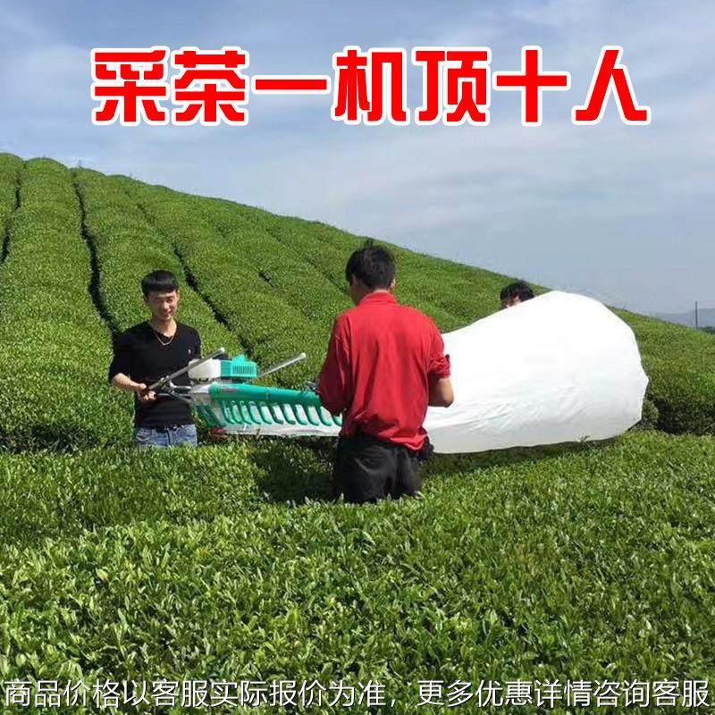 多功能汽油剪茶叶修剪机背负式采茶机绿篱机果树绿篱重修王茶树剪,农机/农具/农膜,植保机械,淘宝优惠券,粉丝福利购,淘宝优惠卷