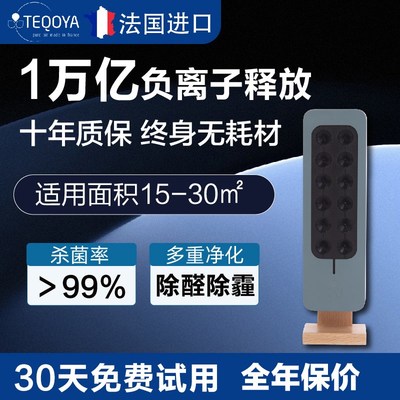 法国进口teqoya得康氧T200负氧离子发生器空气净化器消毒机除甲醛