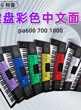KORG 科音pa600 700 1000键盘 彩色中文面板合成器PTC卡 初学适用