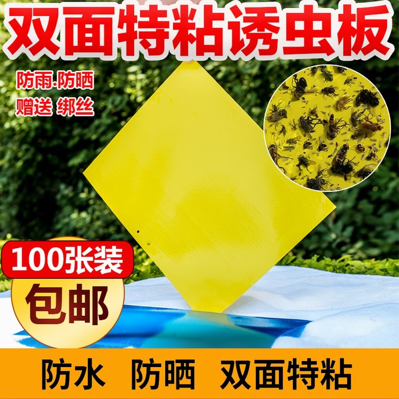 粘飞虫纸蓝板沾虫板黄板双面粘虫板诱虫板果园果蝇贴黏虫板防虫贴