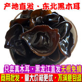 东北东宁干黑木耳干货散装 500g商用优质非野生长白山特产无根秋耳