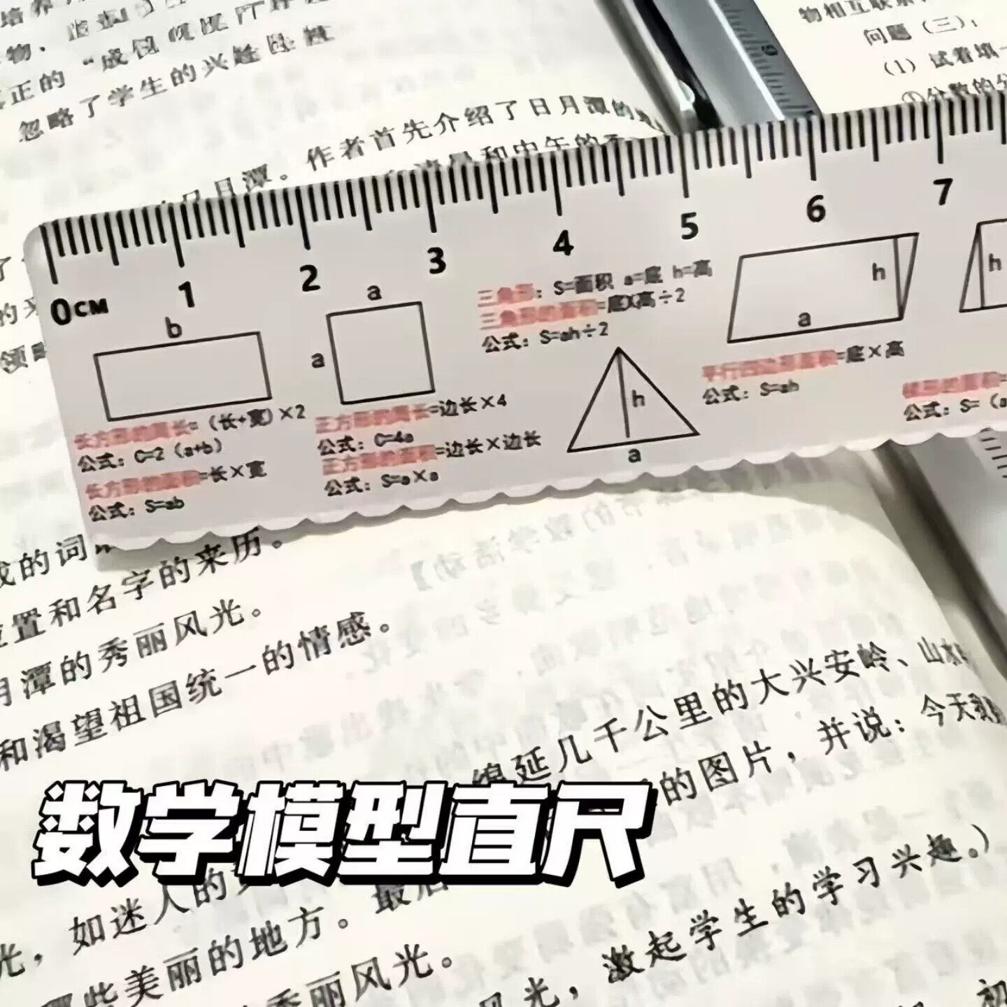 【下单立减50】数学模型直尺小学生实用测量工具创意教学尺子