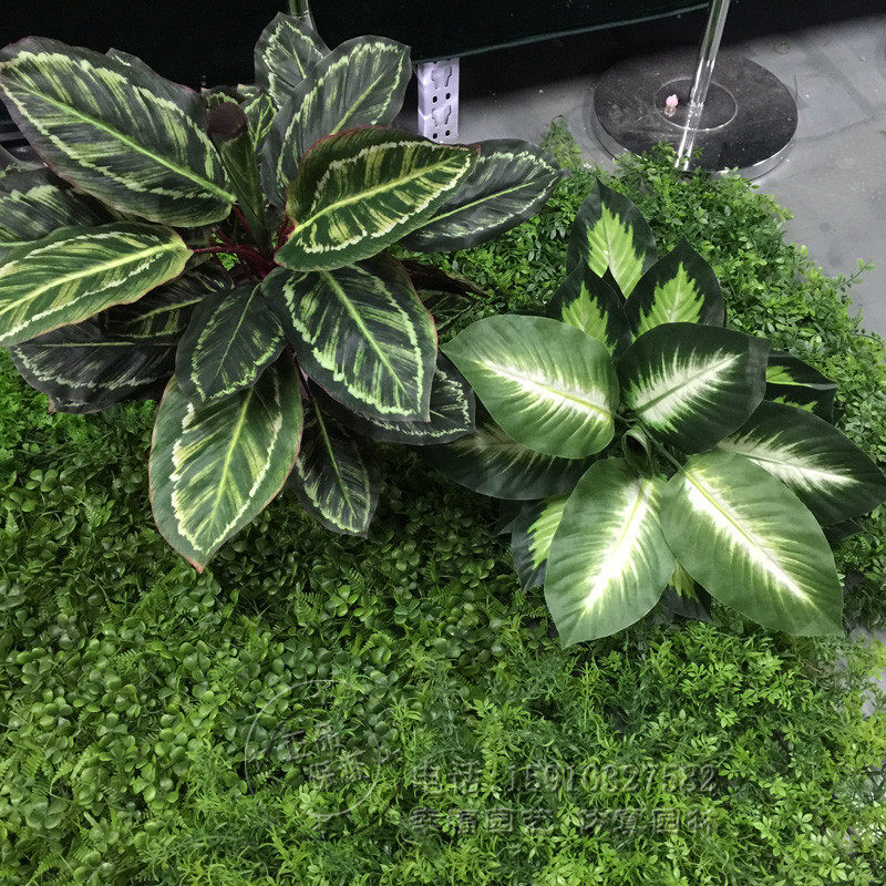 仿真万年青植物假花绿色绿植落地小盆景盆栽假树植物