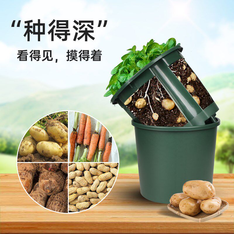 蔬菜生姜种植桶土豆种植盆塑料加厚阳台种菜盆自吸水花盆大号