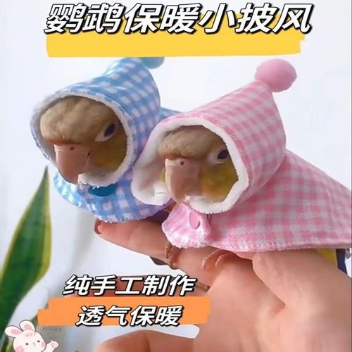 鹦鹉披风斗篷鹦鹉披风小斗篷防飞服过冬鸟衣服虎皮玄凤围脖防咬防