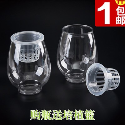 透明水培塑料花瓶绿萝水生植物植物容器适于室内桌面摆放花盆