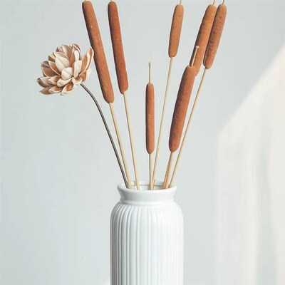 香蒲棒天然干花水蜡烛家居装饰摆件摄影道具风干植物干枝蒲绒安神