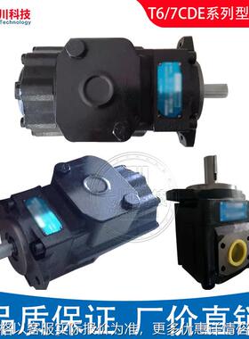 DENISON油泵T6C/D/E/DC/EC/ED/EE/DCC/EDC/EEC/GCC替丹尼逊