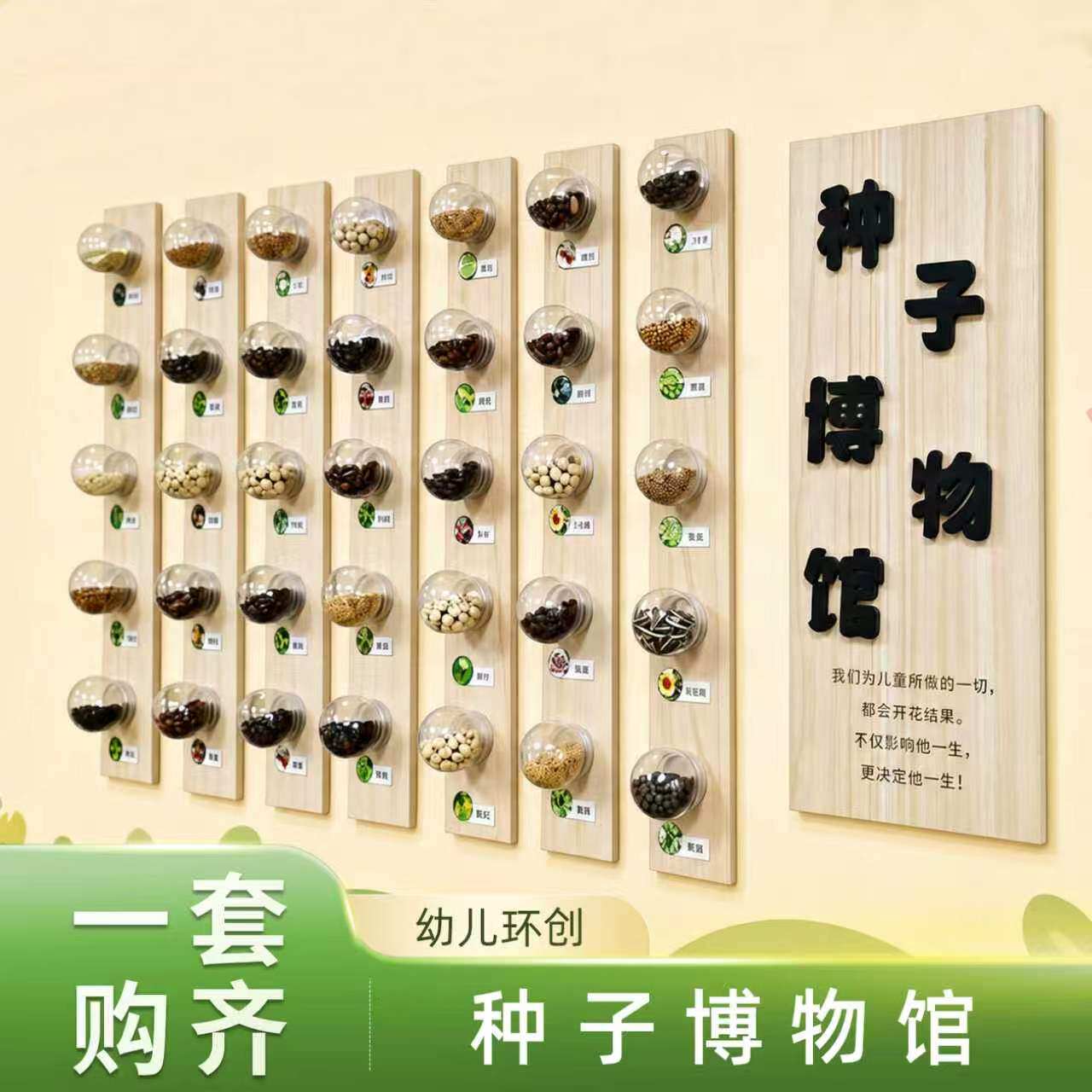 幼儿园种子博物馆主题环创球形塑料瓶装饰材料走廊环境布置标本墙 - 实物图